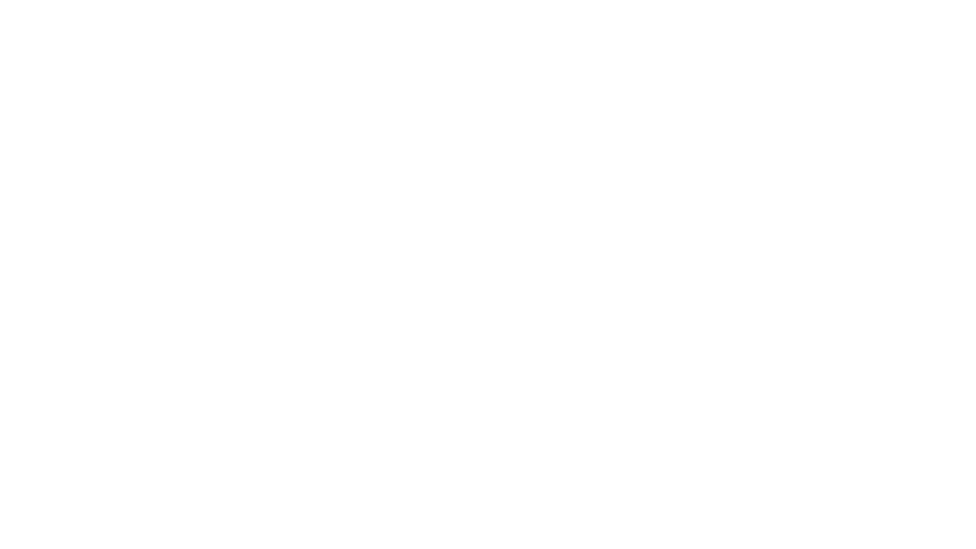 El incidente