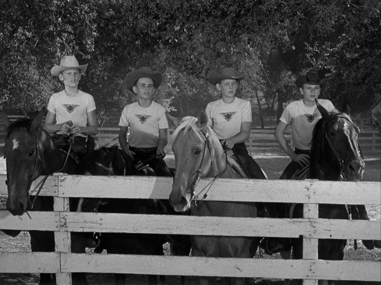 thumbnail - S1:E22 The Big Rodeo