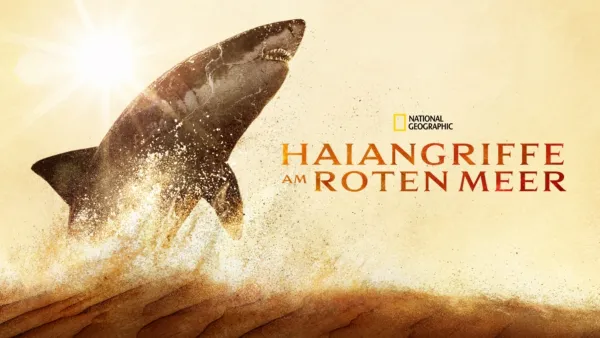 thumbnail - Haiangriffe am Roten Meer