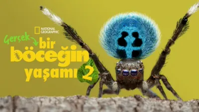 Gerçek Bir Böceğin Yaşamı