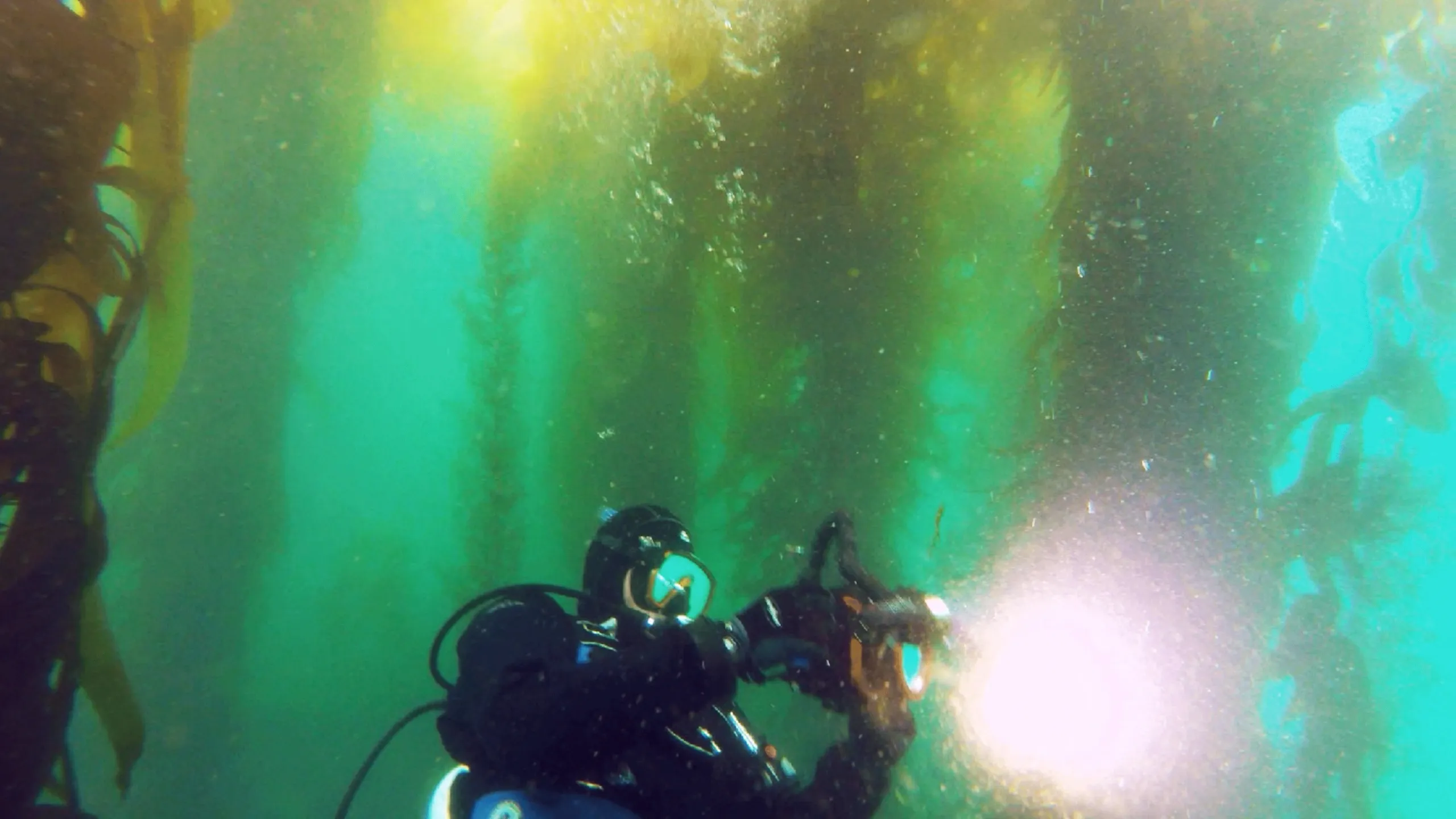 thumbnail - S1:E5 Kelp Forest