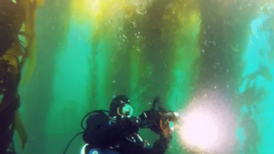 thumbnail - S1:E5 Kelp Forest