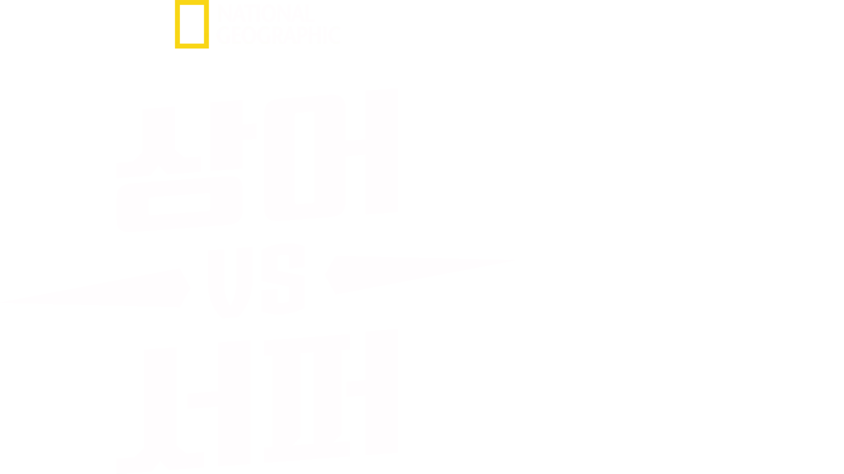 상어 vs 서퍼