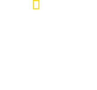 상어 vs 서퍼