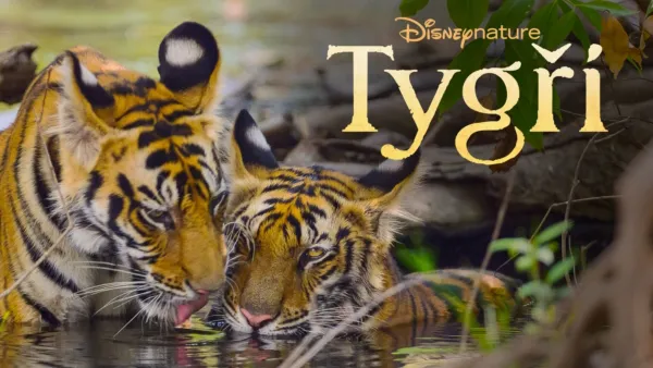 thumbnail - Tygři
