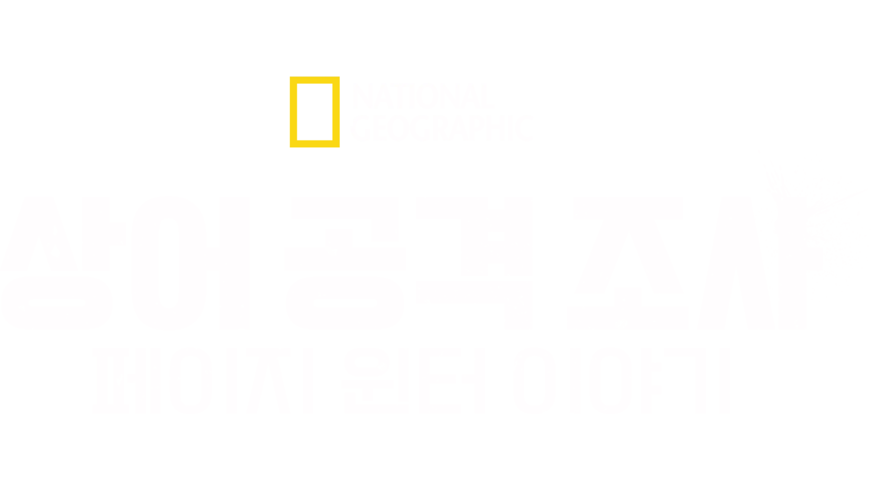상어 공격 조사: 페이지 윈터 이야기