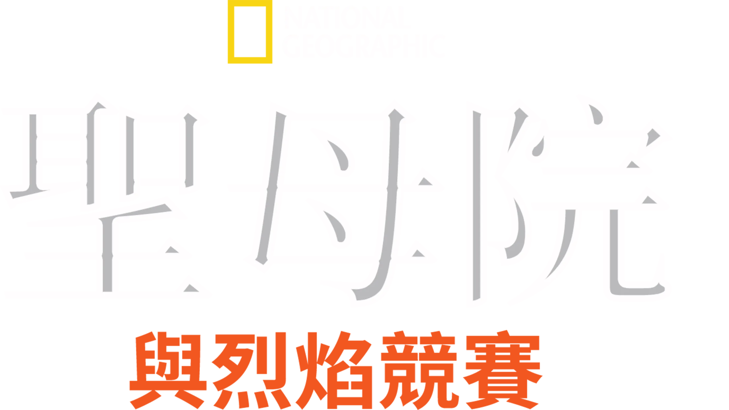 聖母院：與烈焰競賽