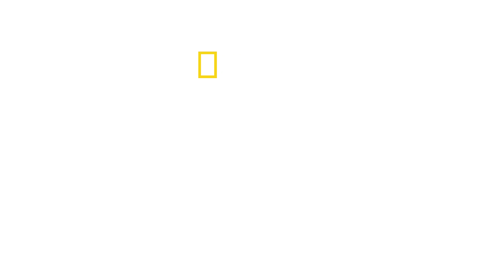 Drugs Inc. – Fra langerens ståsted
