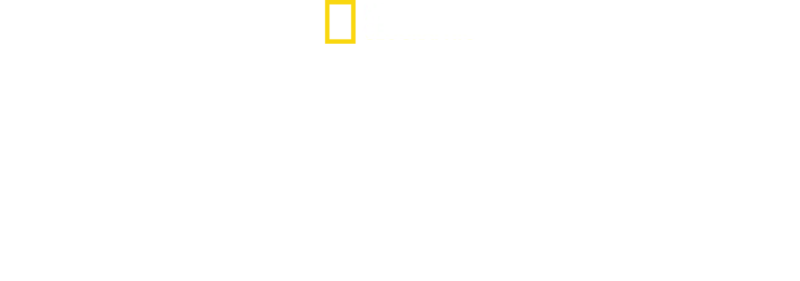 Drugs Inc. – Fra langerens ståsted