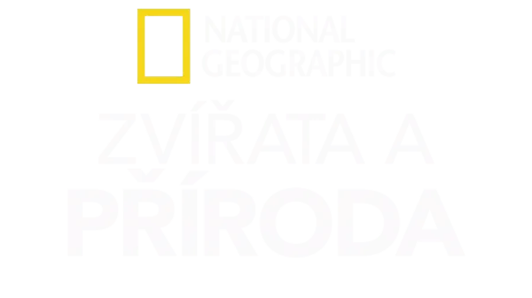 National Geographic – zvířata a příroda