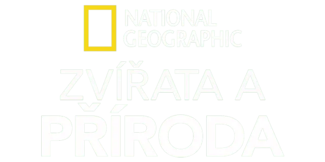 National Geographic – zvířata a příroda