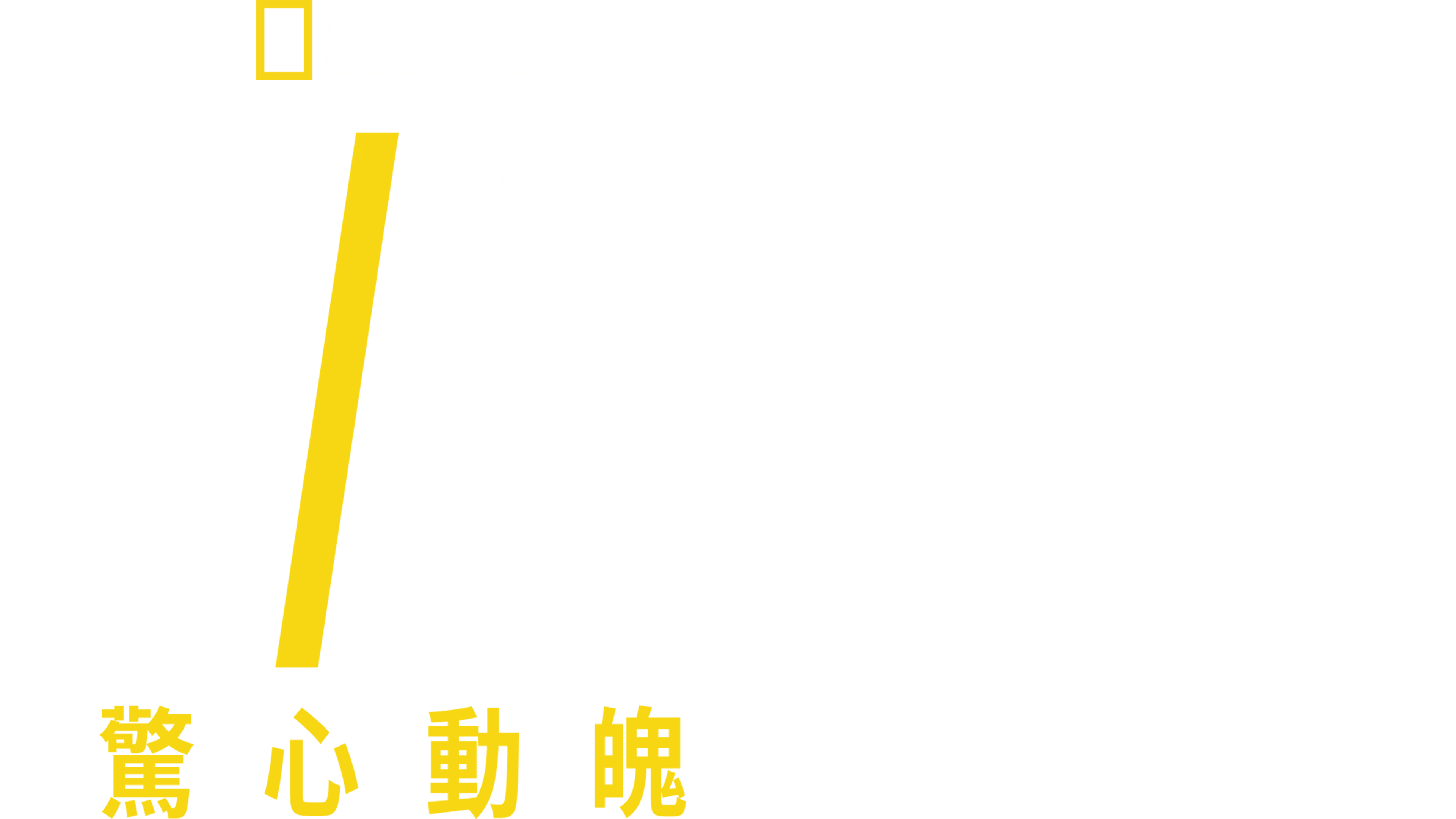 驚心動魄911