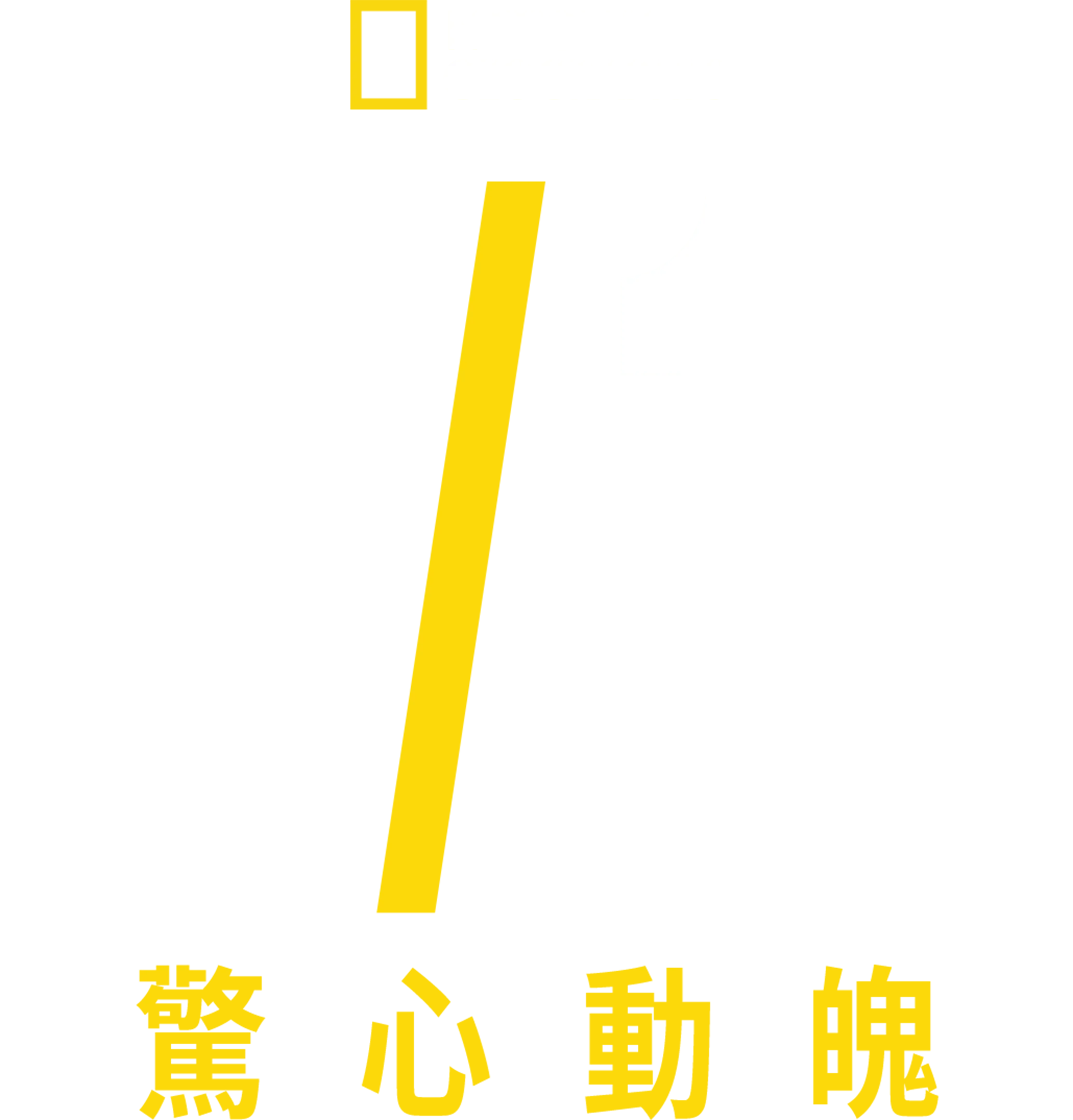 驚心動魄911
