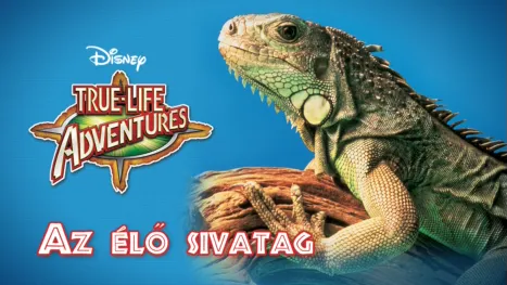 thumbnail - Az élő sivatag