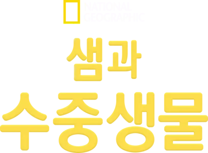 샘과 수중생물
