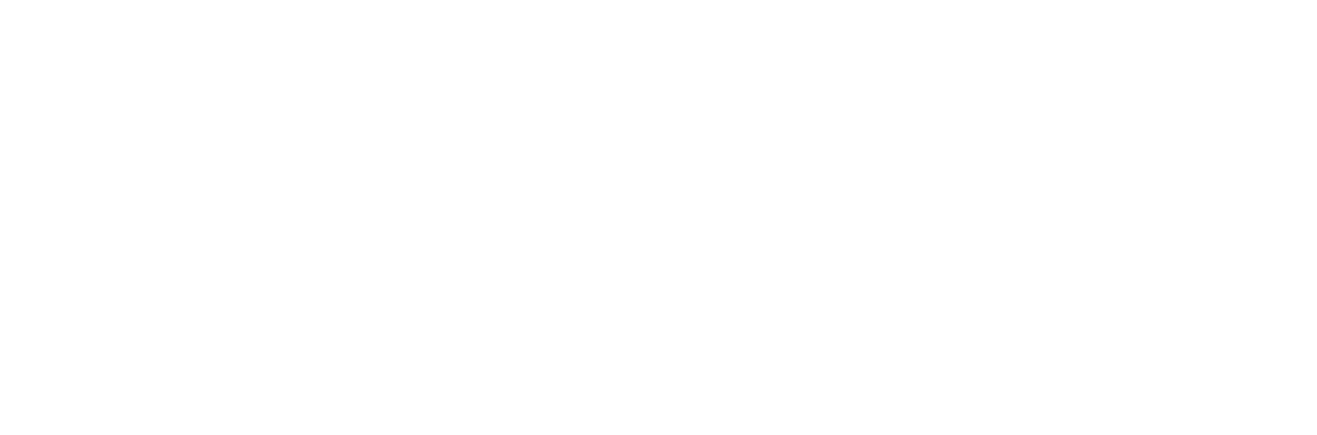 The Nice Guy