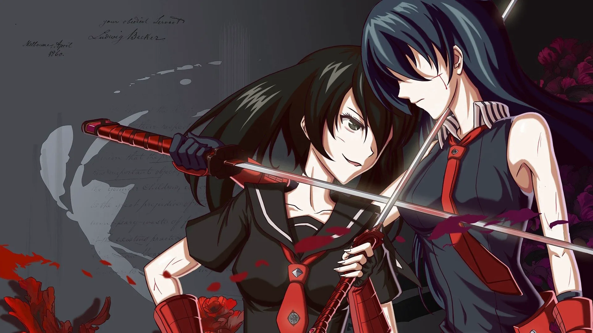 Akame Ga Kill