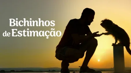 thumbnail - Bichinhos de Estimação
