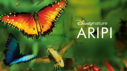 thumbnail - Aripi