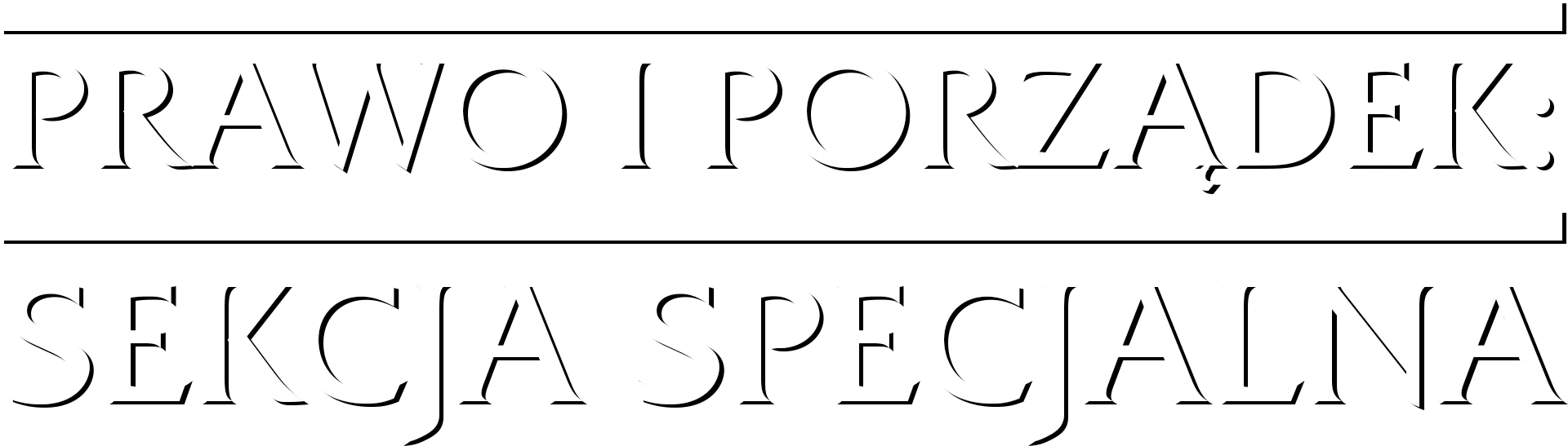 Prawo i Porządek: Sekcja Specjalna