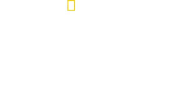 Stanfordzki eskperyment więzienny: odkrywając prawdę
