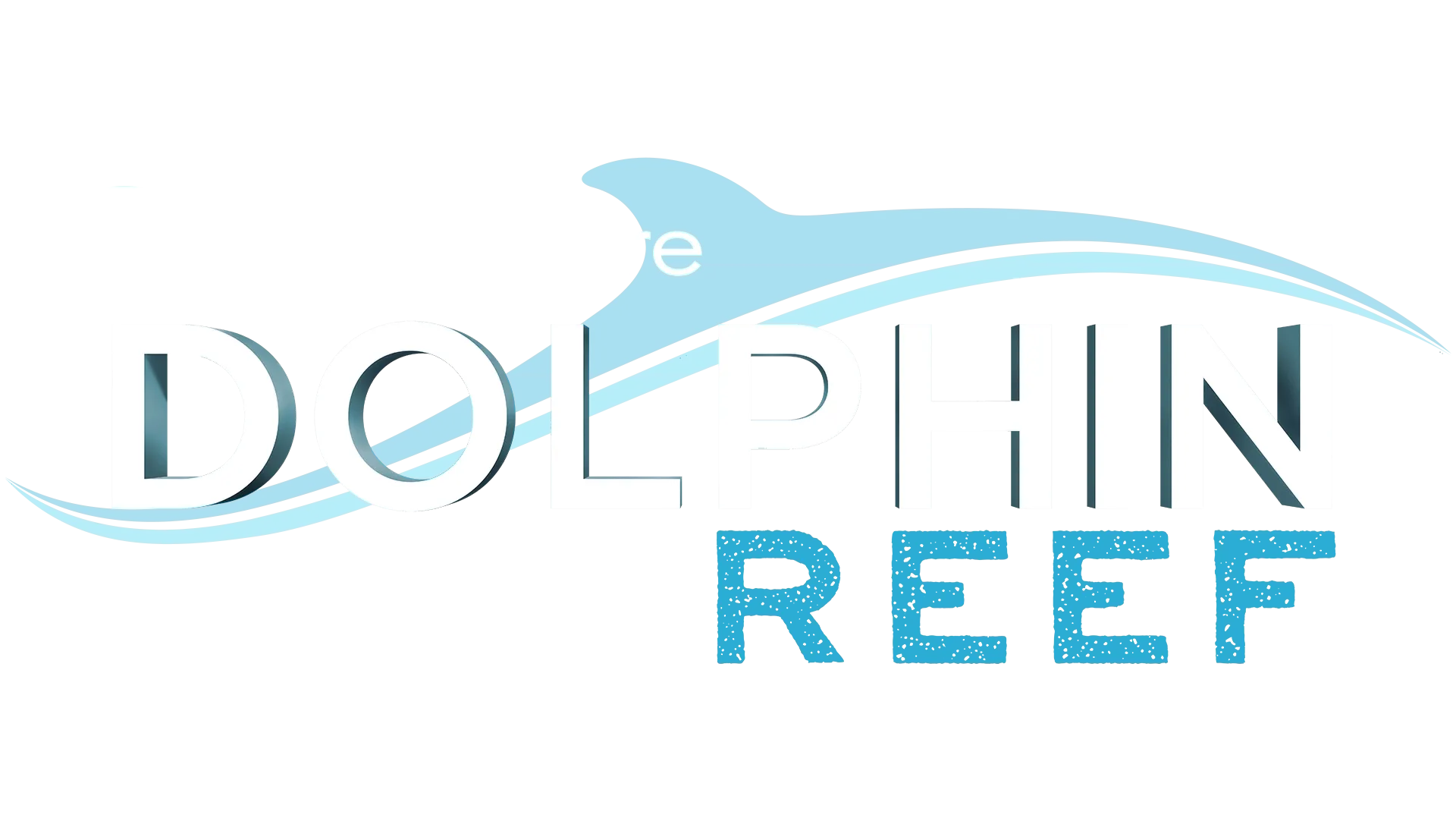 Dolphin Reef