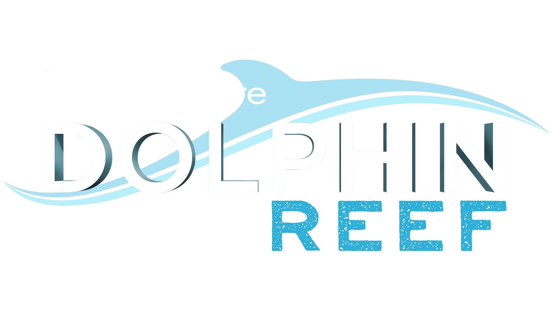 Dolphin Reef