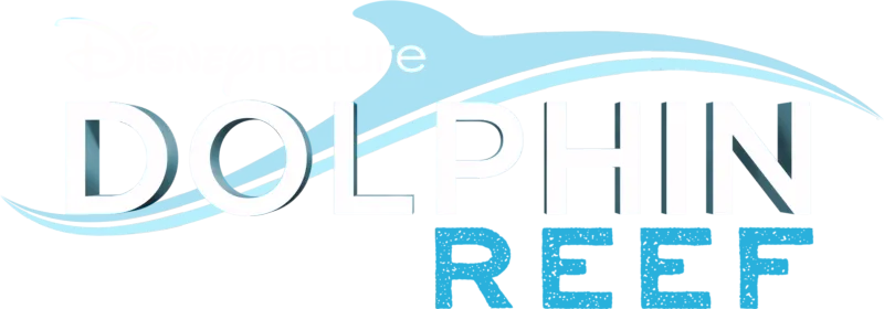 Dolphin Reef