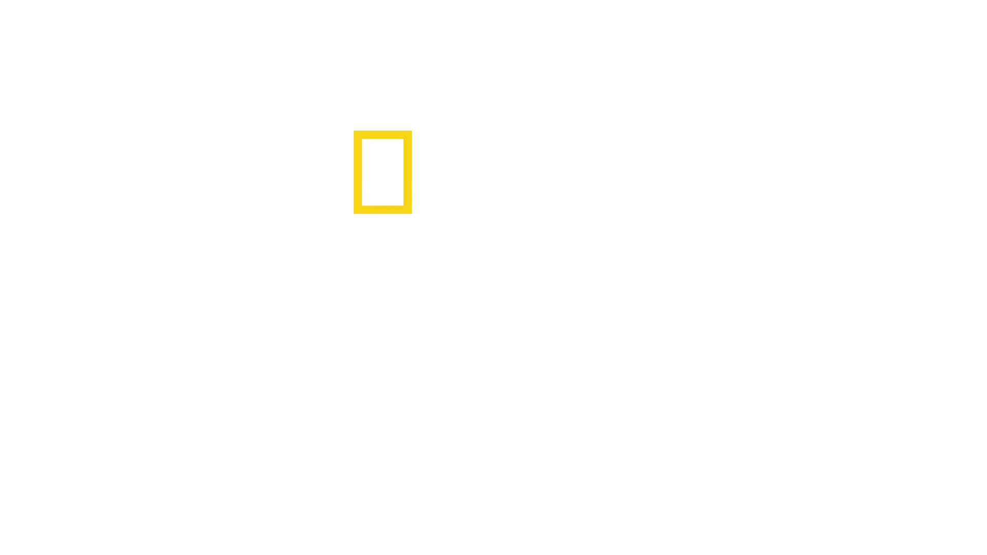 Sugarcane: rozliczenie z przeszłością