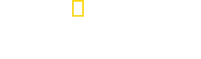 Sugarcane: rozliczenie z przeszłością