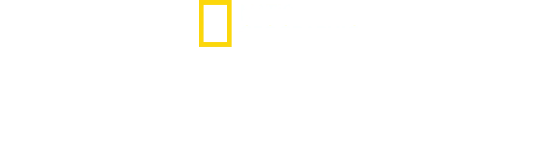 Sugarcane: rozliczenie z przeszłością