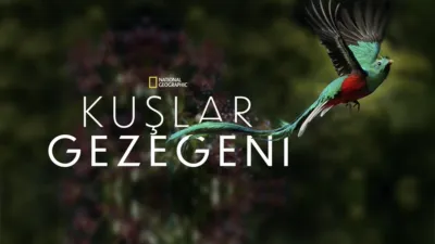 thumbnail - Kuşlar Gezegeni