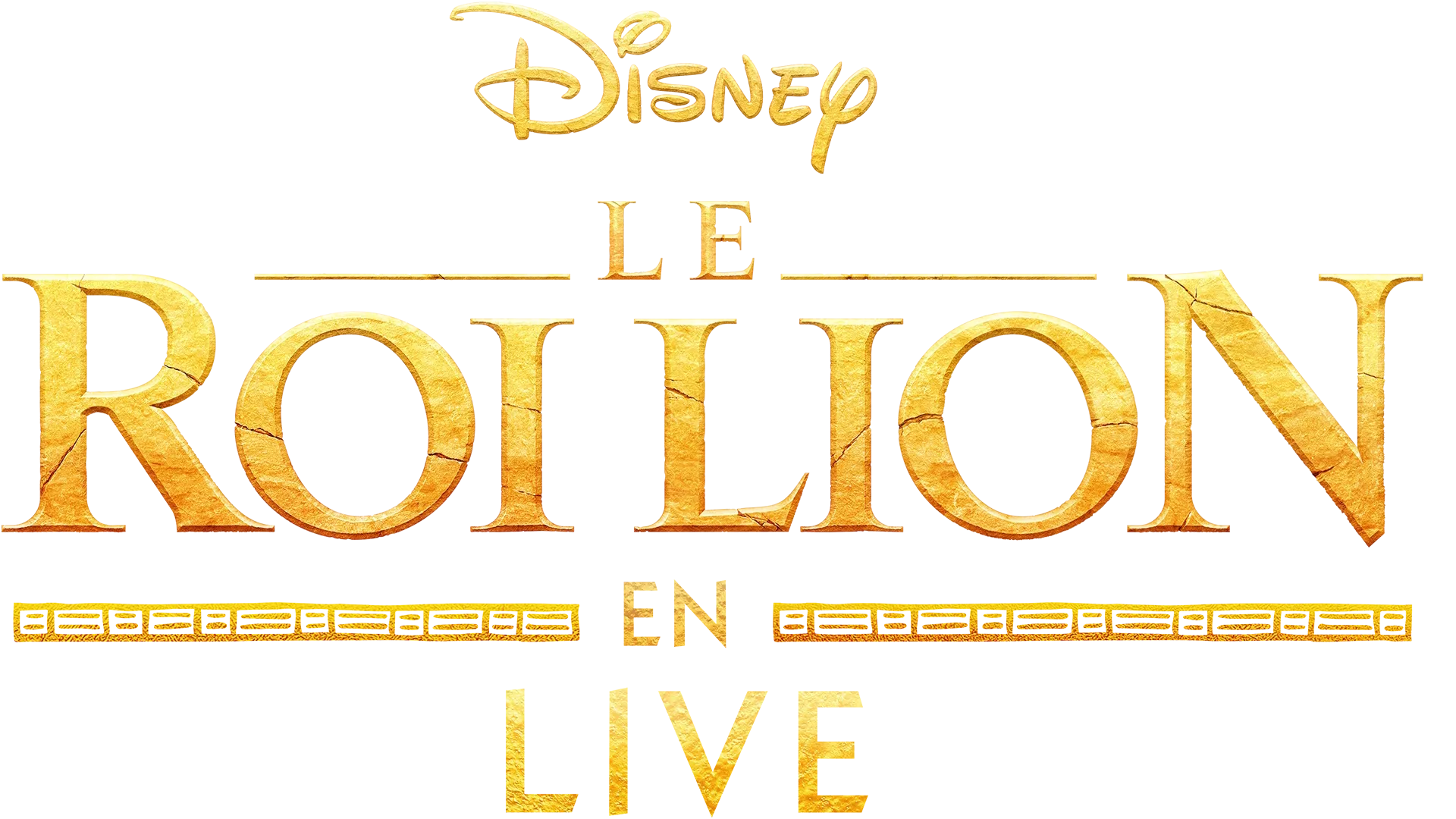 Le Roi Lion en live