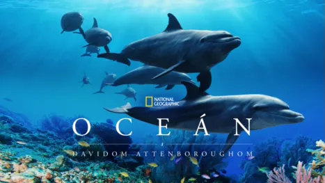 thumbnail - Oceán s Davidom Attenboroughom
