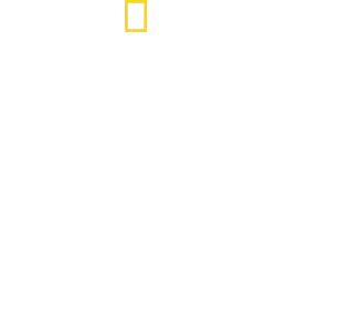 Gli Squali del Nord