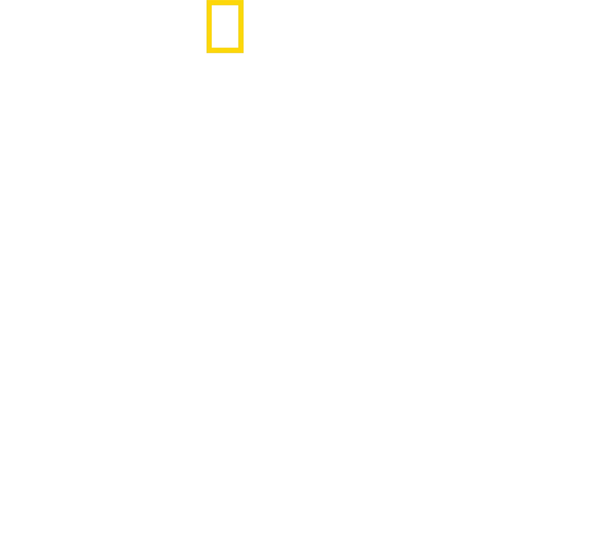 Gli Squali del Nord