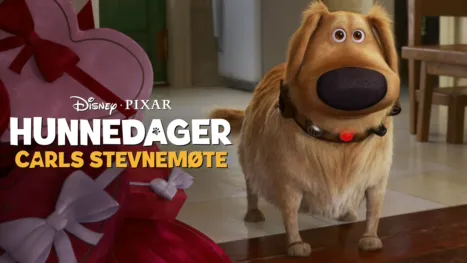 thumbnail - Carls stevnemøte