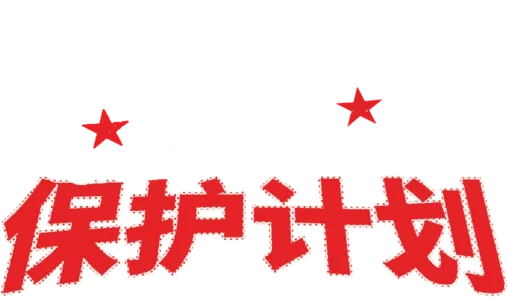 公主保护计划
