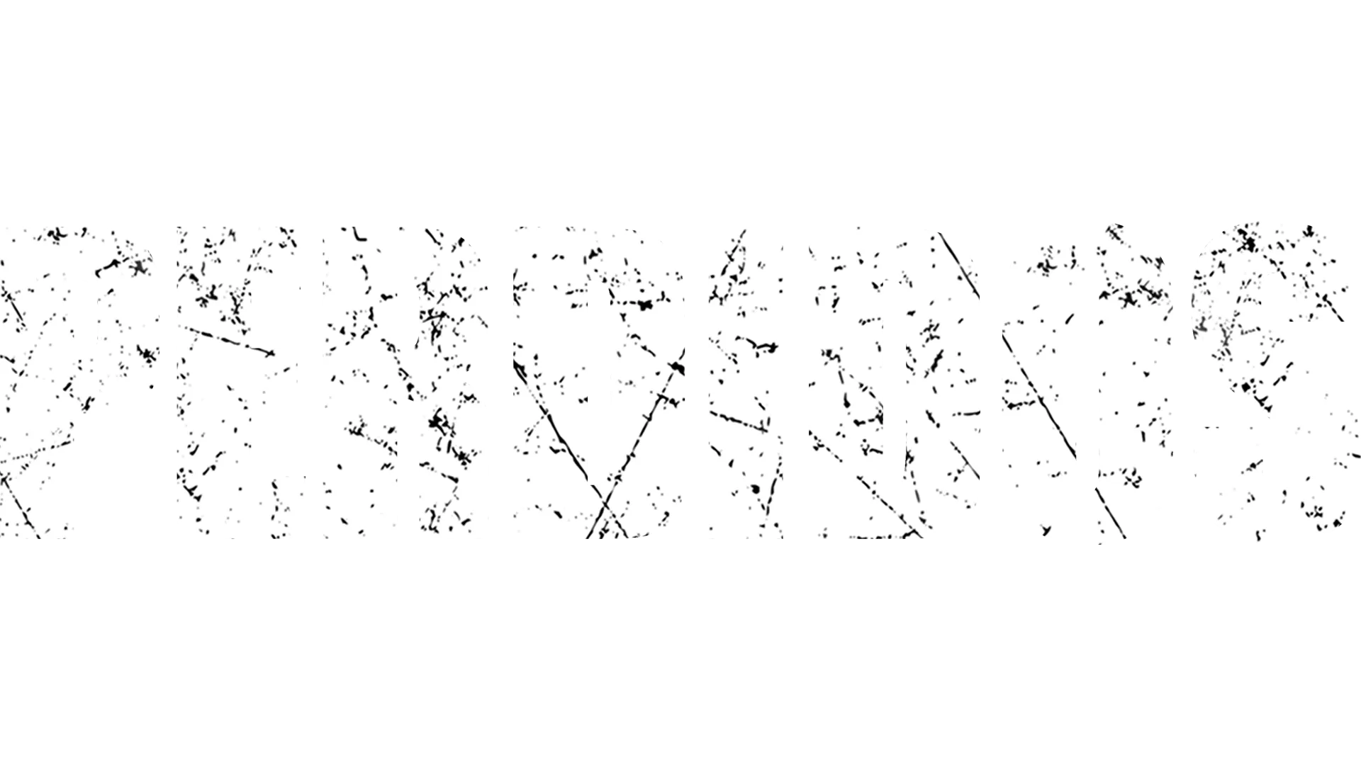Perdidos