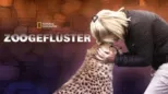 thumbnail - Zoogeflüster