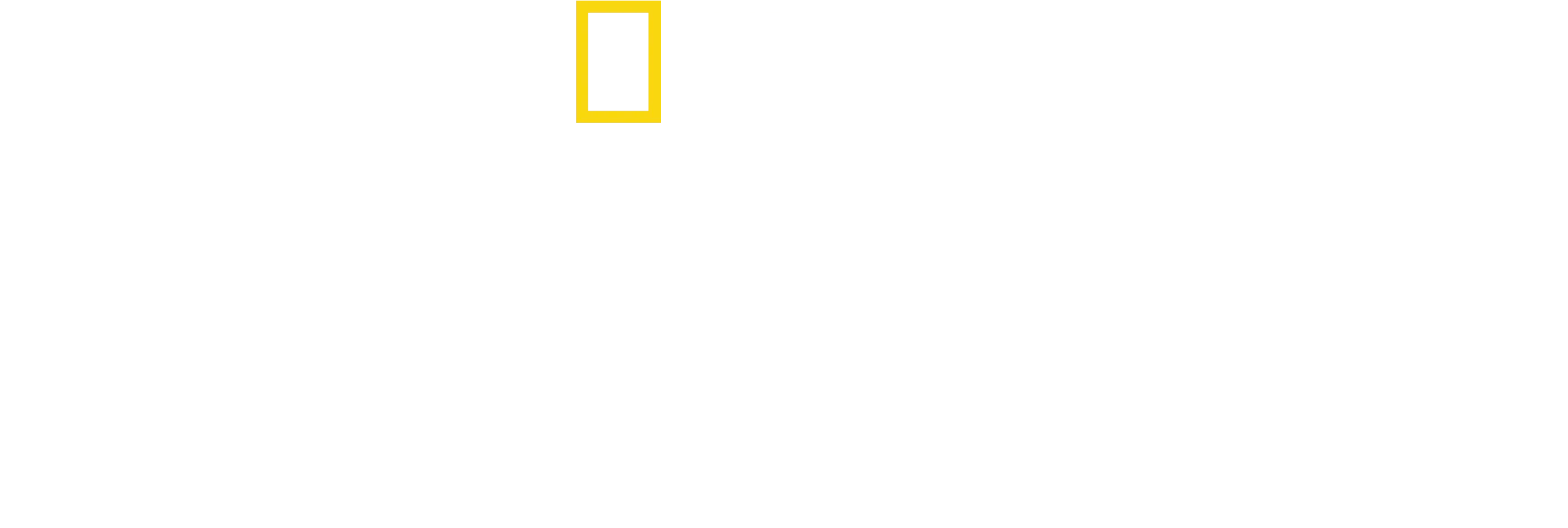 We Feed People