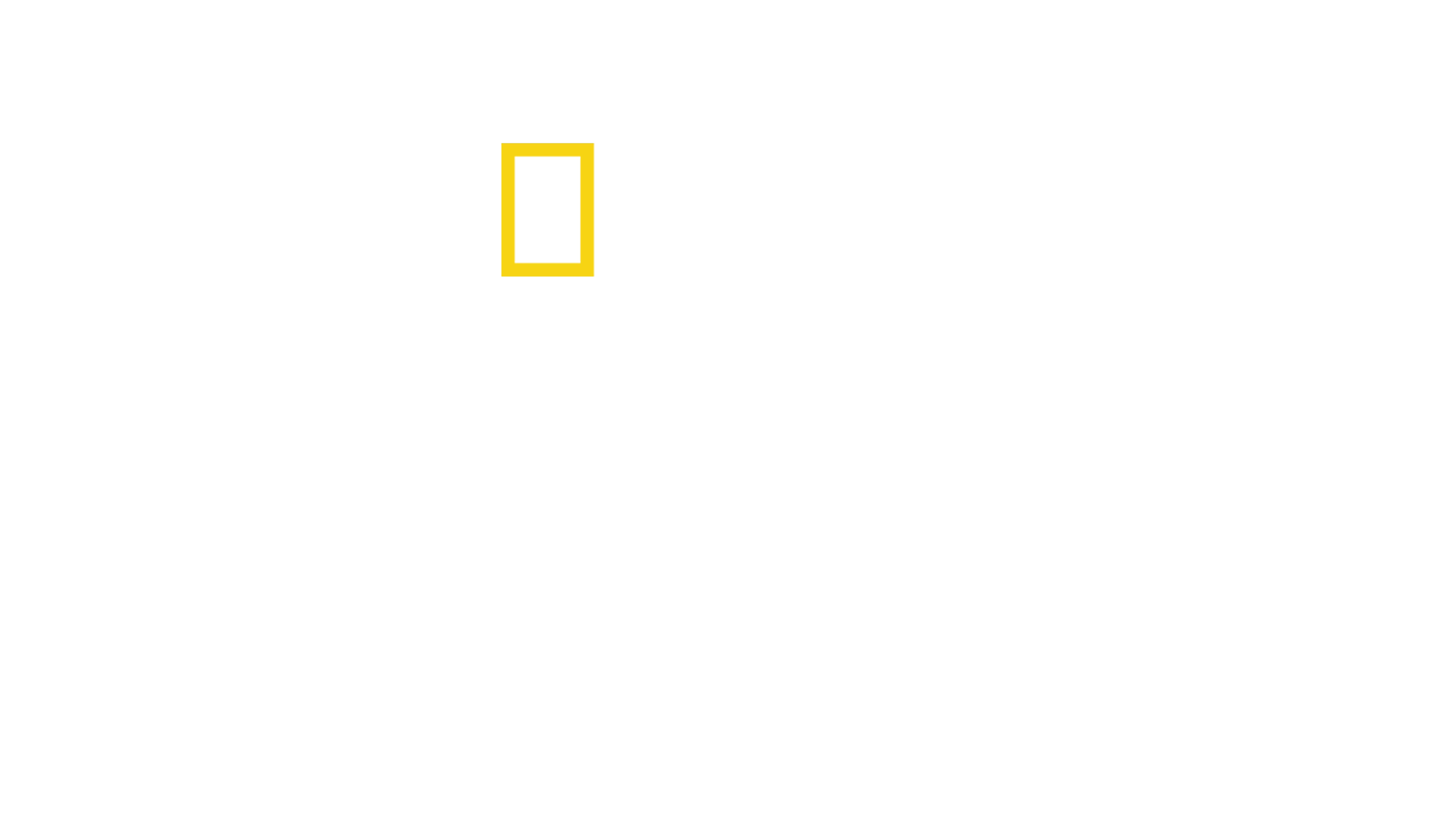 Orașe pierdute, cu Albert Lin