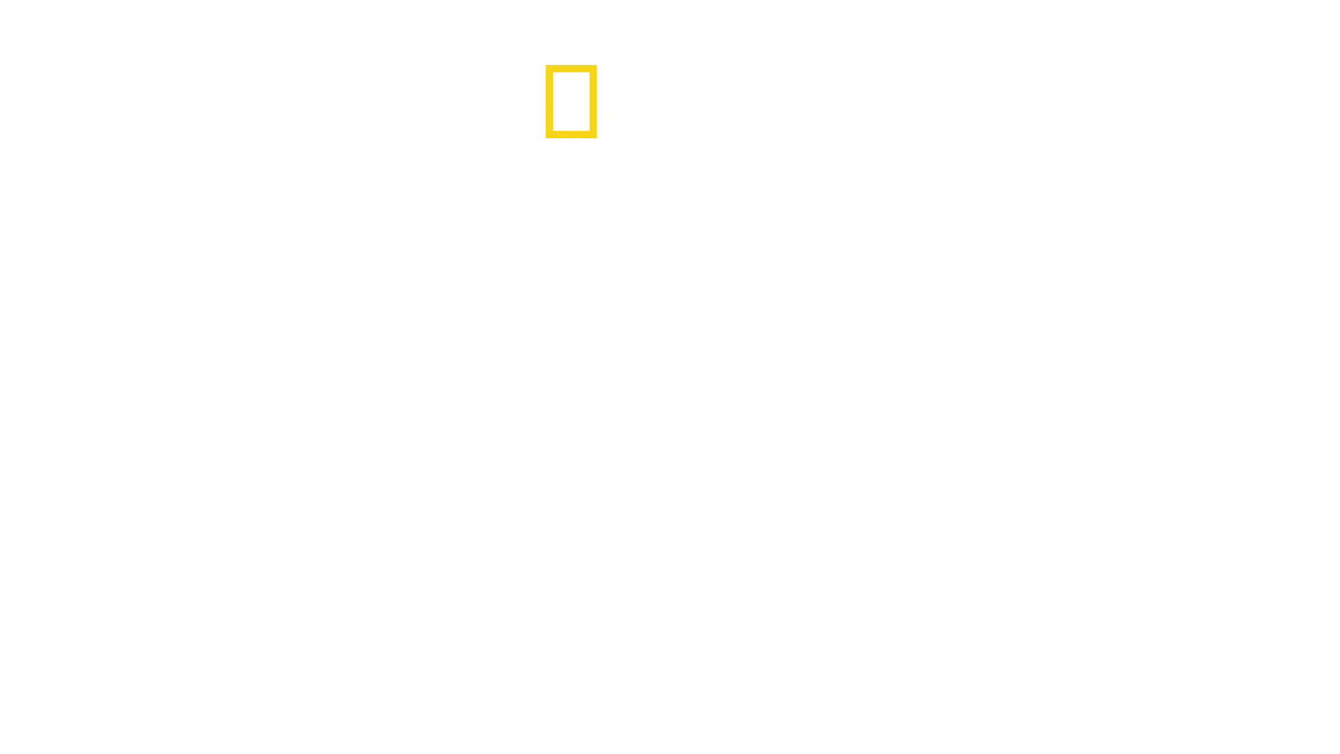 World's Deadliest