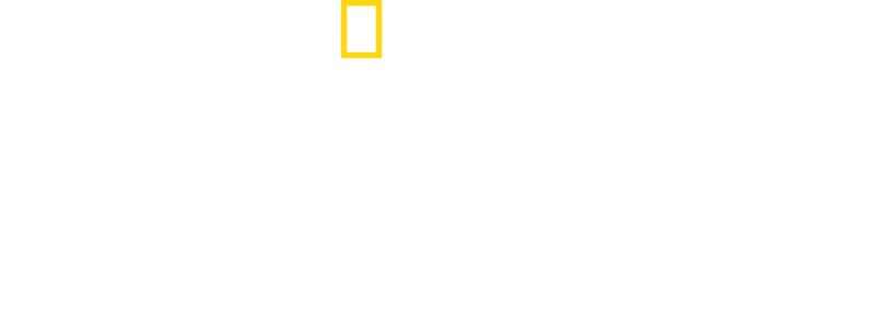 Afrikas tödlichste Jäger