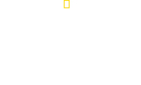 Positive Energy