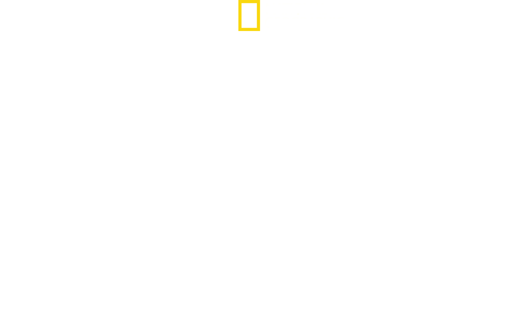 Positive Energy