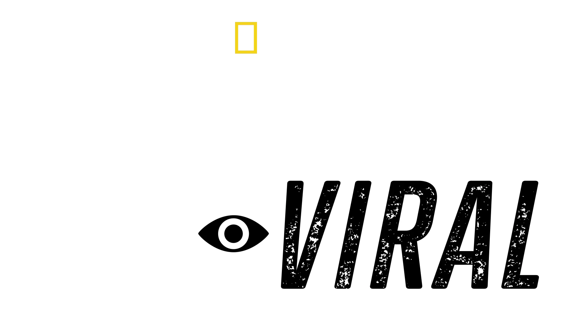 Sharks Gone Viral