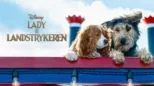 thumbnail - Lady og Landstrykeren