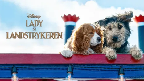 thumbnail - Lady og Landstrykeren
