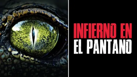 thumbnail - The Bayou